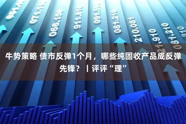 牛势策略 债市反弹1个月，哪些纯固收产品成反弹先锋？丨评评“理”
