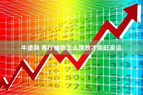 牛途网 客厅植物怎么摆放才能旺家运