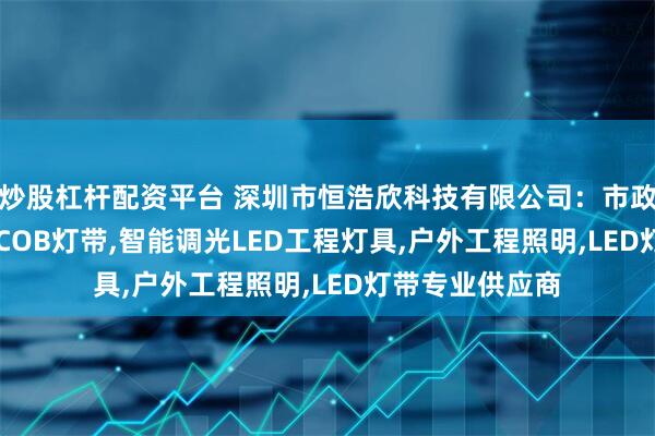 炒股杠杆配资平台 深圳市恒浩欣科技有限公司:市政工程LED路灯,COB灯带,智能调光LED工程灯具,户外工程照明,LED灯带专业供应商