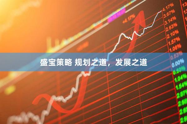 盛宝策略 规划之道，发展之道